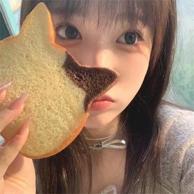 泰迪熊2